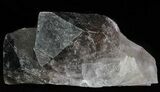 Smoky Quartz Crystal - Brazil #60762-2